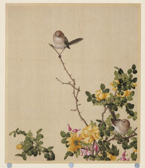 仙萼长春图黄刺么与鱼儿牡丹