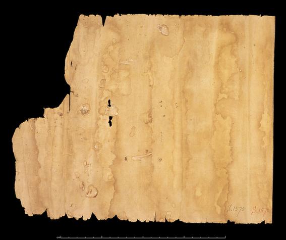 妙法莲华经随喜功德品手稿