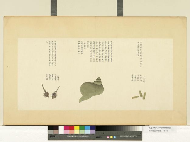 海错图第四册-3