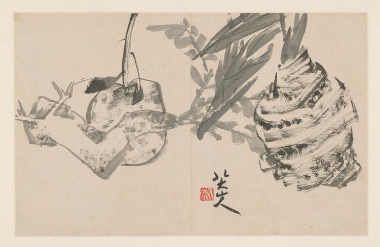 杂画册
