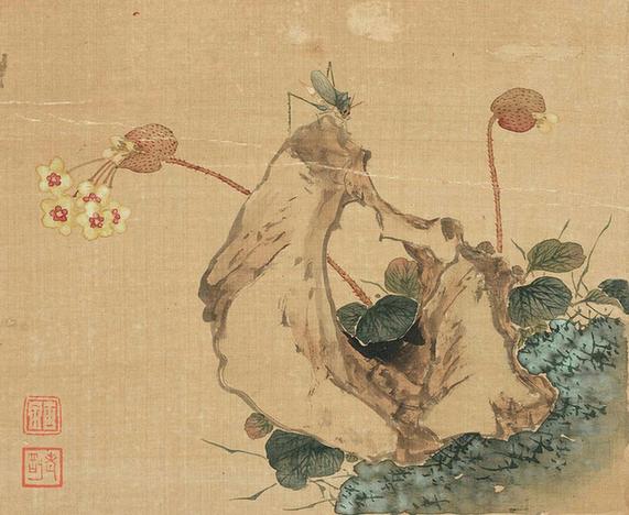 花卉奇石册-十二开-10