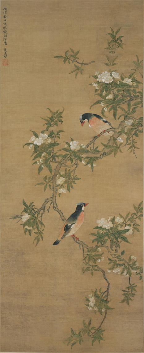 梨花双鸟图轴
