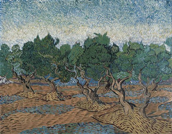 Olive grove (November - December )
