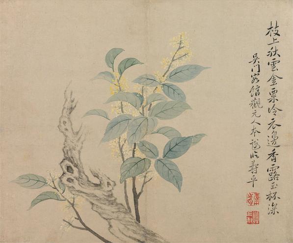 花卉图册·桂花