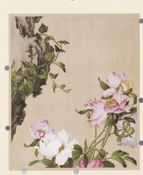 仙萼长春图芍药图