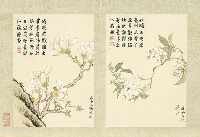 二十四番花信风图-木兰与梨花