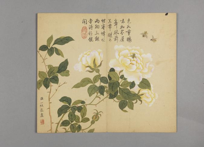 邹一桂花鸟草虫图册