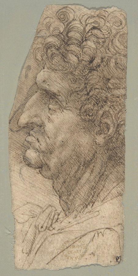Leonardo da Vinci--Head of a Man in Profile Facing to the Left