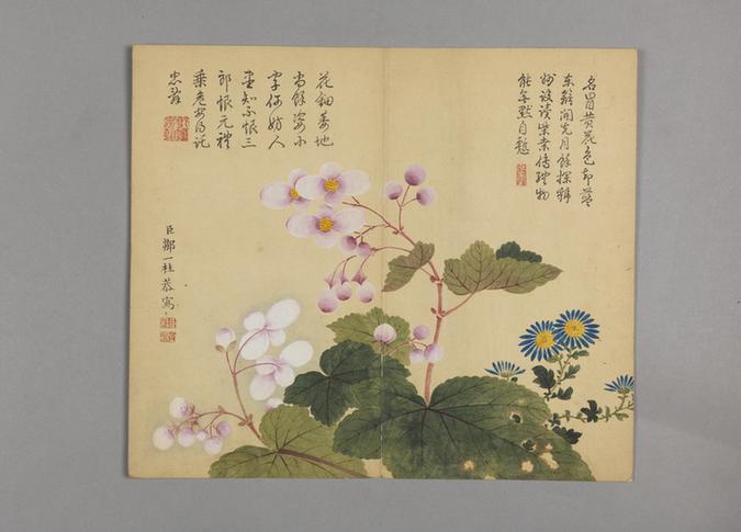 邹一桂花鸟草虫图册