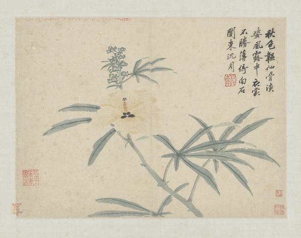 卧游图册－葵花