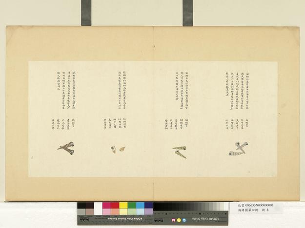 海错图第四册-4