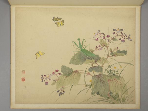 花鸟昆虫册