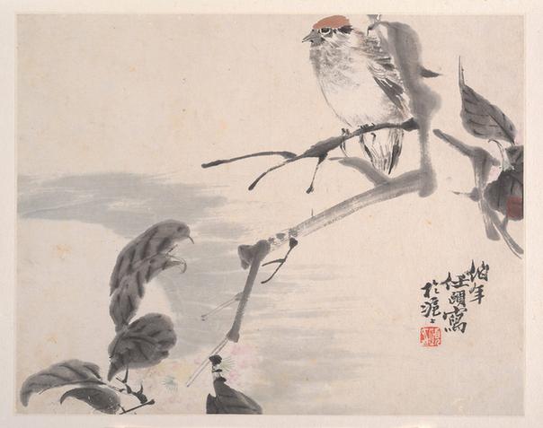 花鸟蔬果册页(八开)