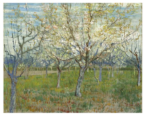 The pink orchard (March - )