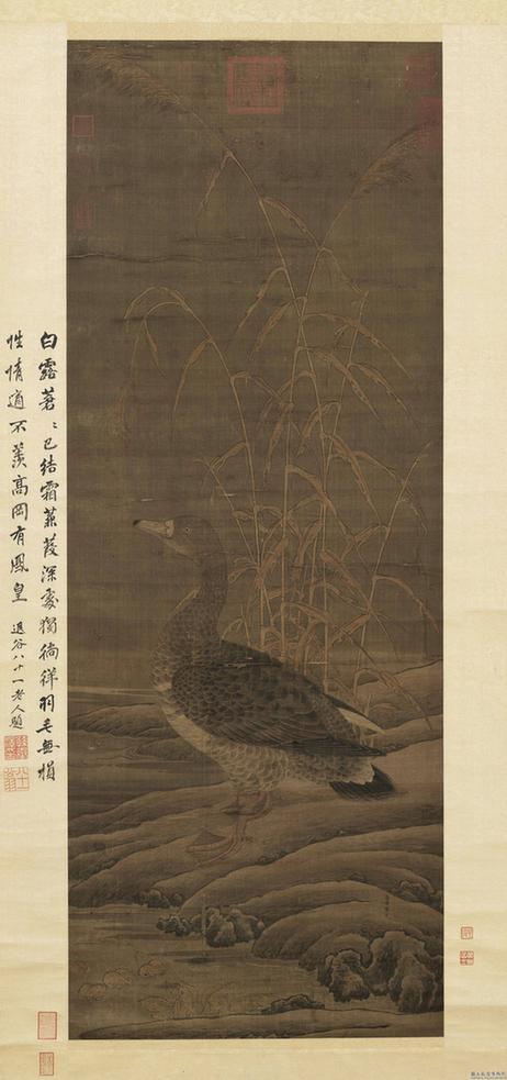 芦雁图轴