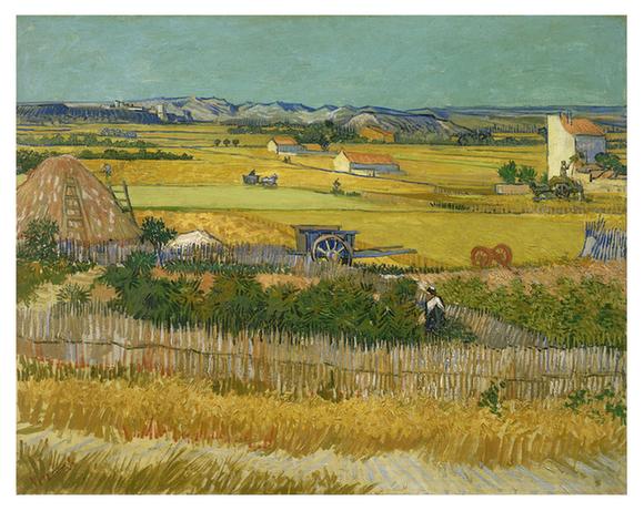 The harvest (June - )