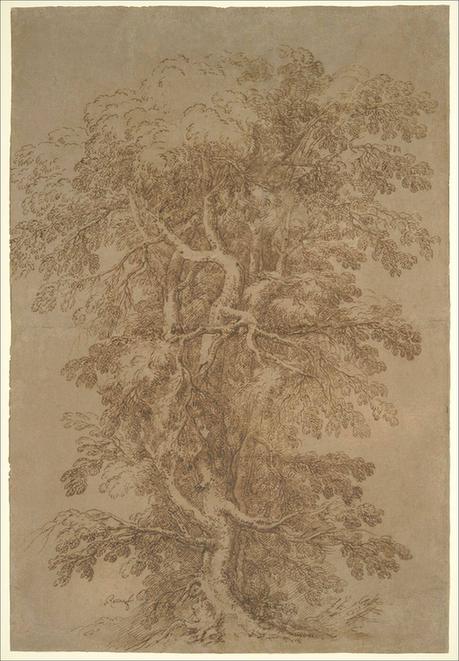 Salvator Rosa--A Large Tree