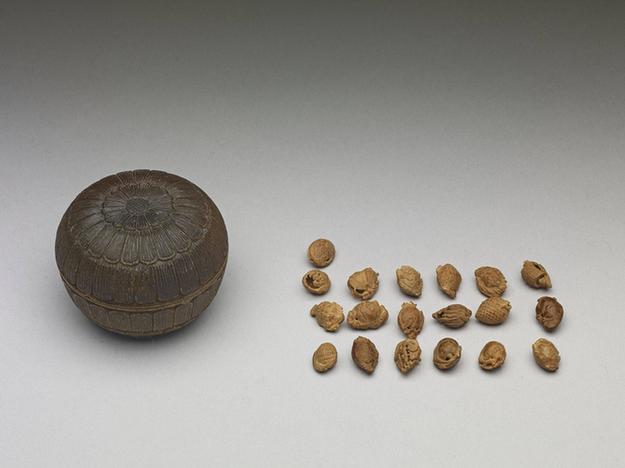 雕犀角菊花小圆盒、果核雕十九枚