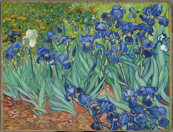 Irises 1889