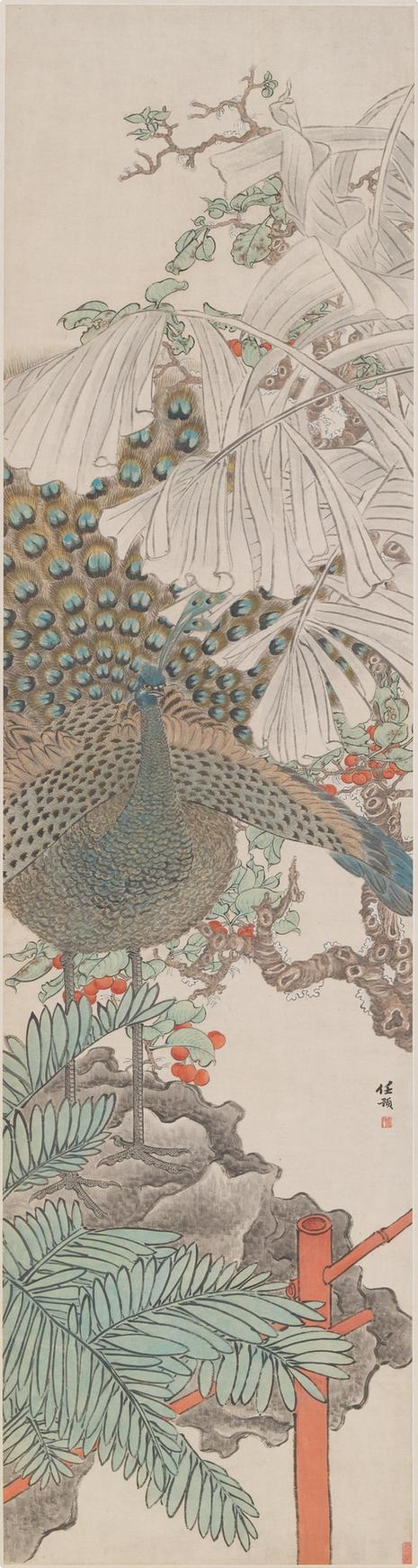 孔雀蕉石图轴