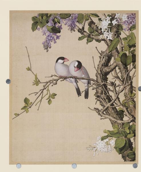 仙萼长春图紫白丁香