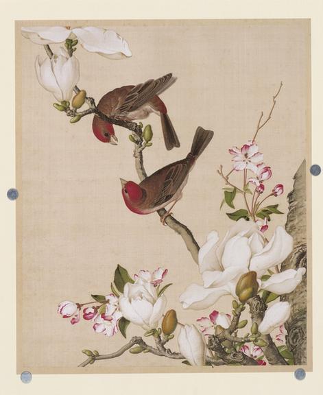 仙萼长春图海棠玉兰图