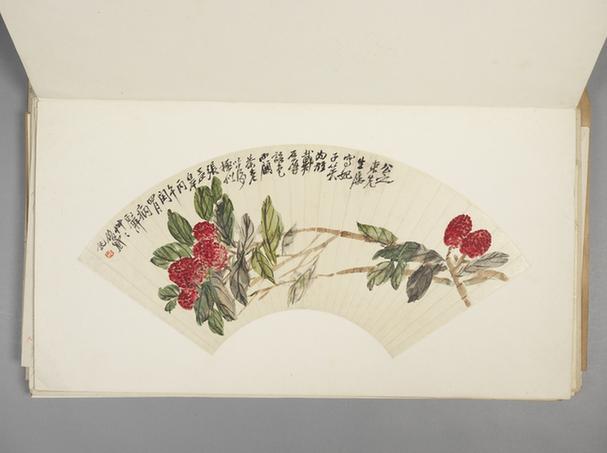 荔枝图扇页