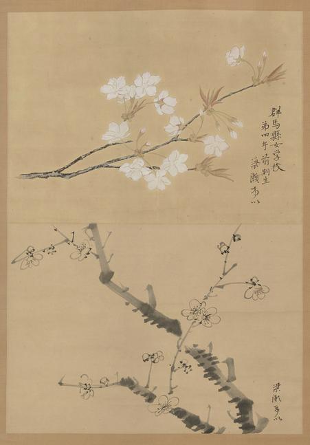 樱花墨梅图立轴