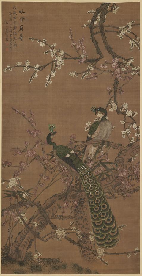 孔雀梅花图轴