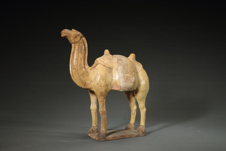陶黄釉骆驼