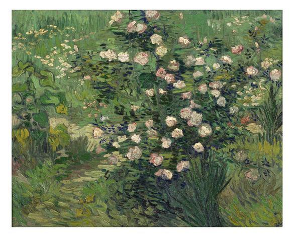 Roses 1889