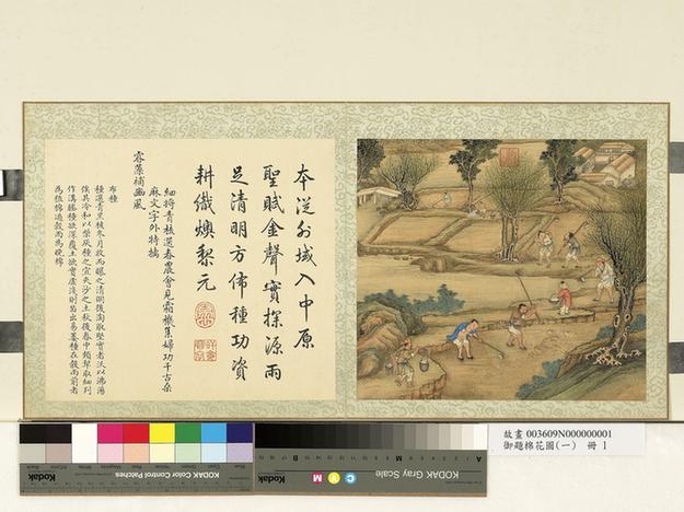 御题棉花图册-布种