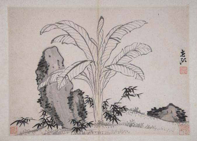 明清诸家集锦册-蕉石册页