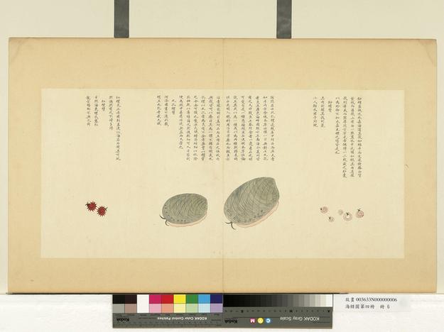 海错图第四册-10