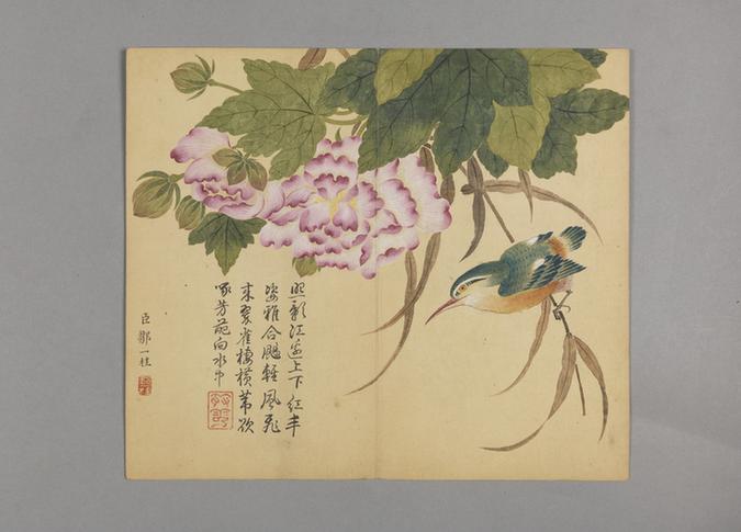 邹一桂花鸟草虫图册