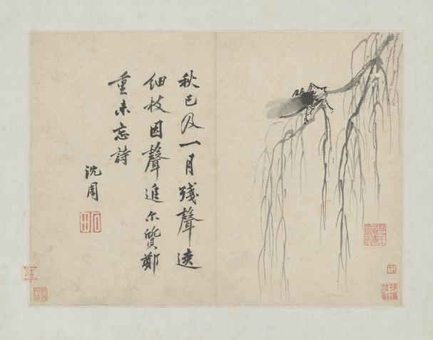 卧游图册－柳蝉