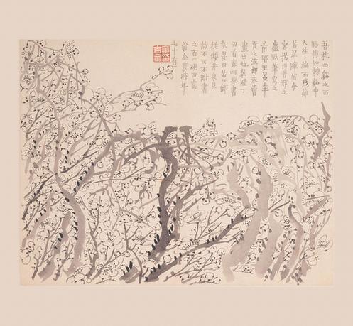 梅花图册