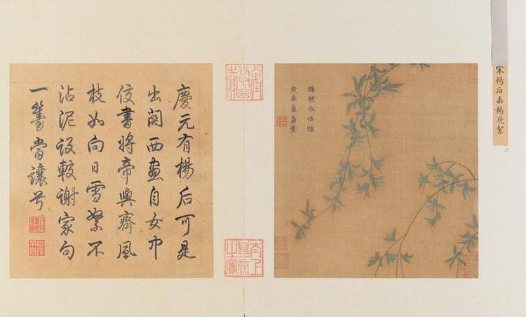 垂柳飞絮图页