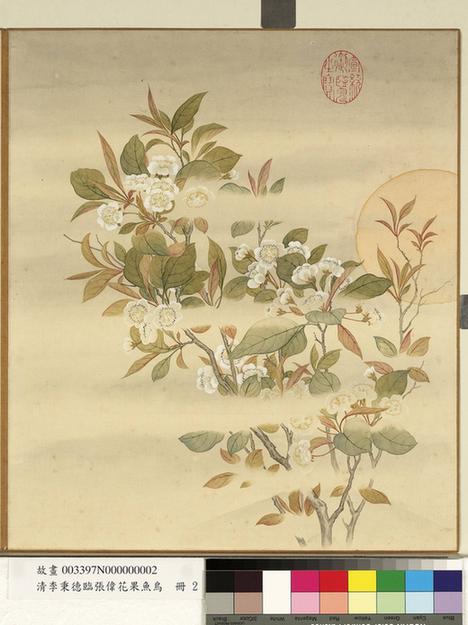 临张伟花果鱼鸟册-月下梨花