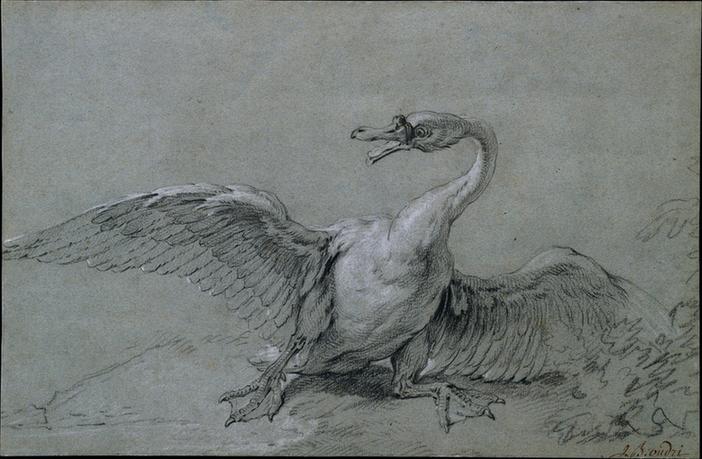Jean-Baptiste Oudry--Angry Swan