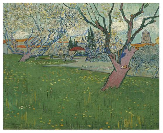 Orchards in blossom, view of Arles (April - )
