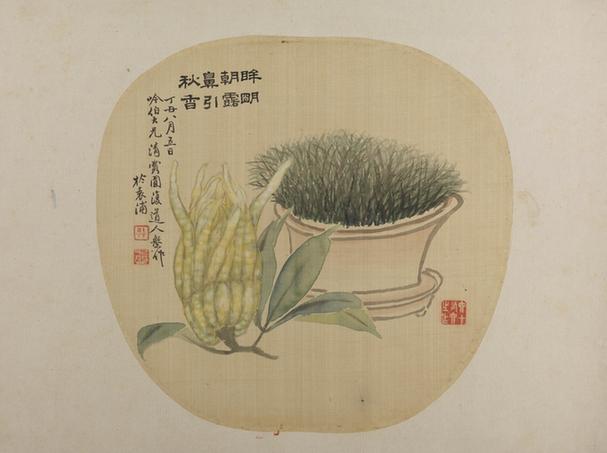 佛手盆花纨扇