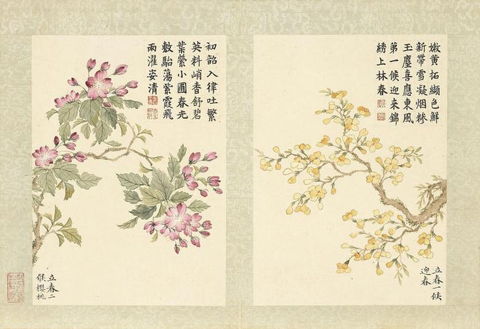 二十四番花信风图-樱桃与迎春