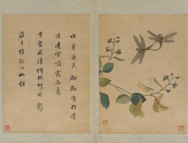韩希孟绣宋元名迹册·扁豆蜻蜓图