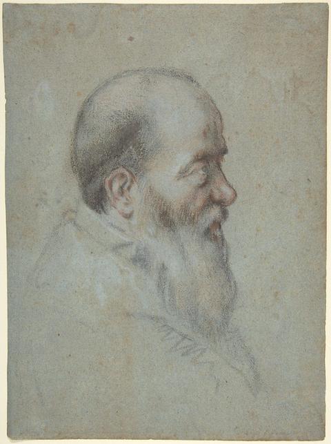 Carletto Caliari--Bust of a Bearded Old Man, Profile to Right