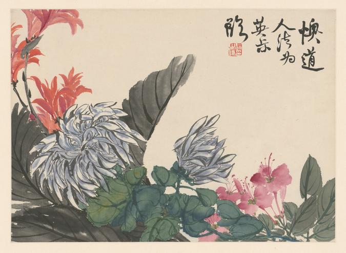 花卉册-菊花海棠页