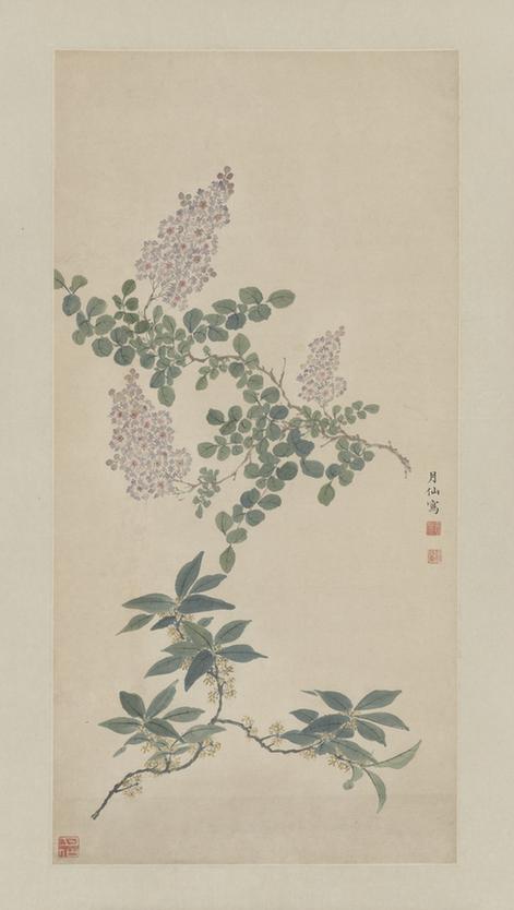 紫薇桂花图轴