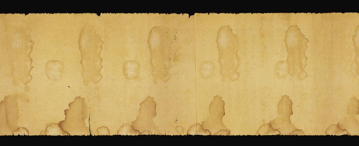 大乘密严经卷上手稿