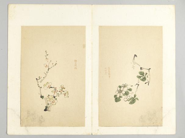 十竹斋五色笺谱册