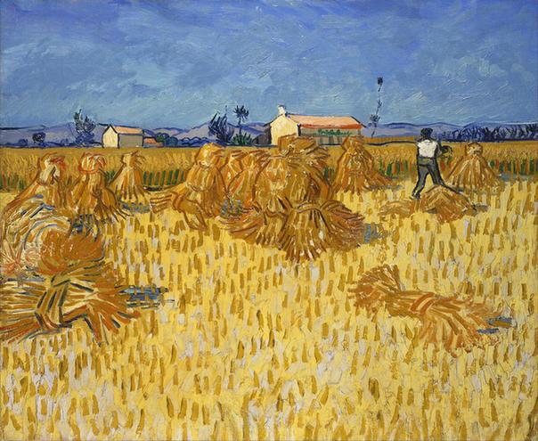 Corn Harvest in Provence 1888